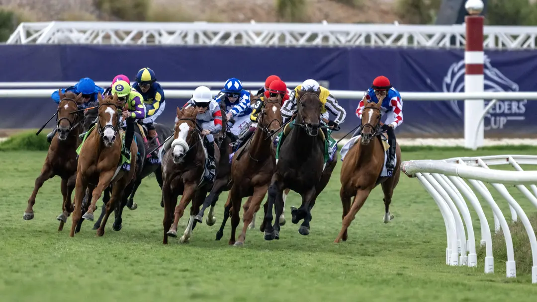 Sensational Saudi Cup: Forever Young Edges Romantic Warrior