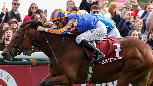 Sensational Saudi Cup: Forever Young Edges Romantic Warrior