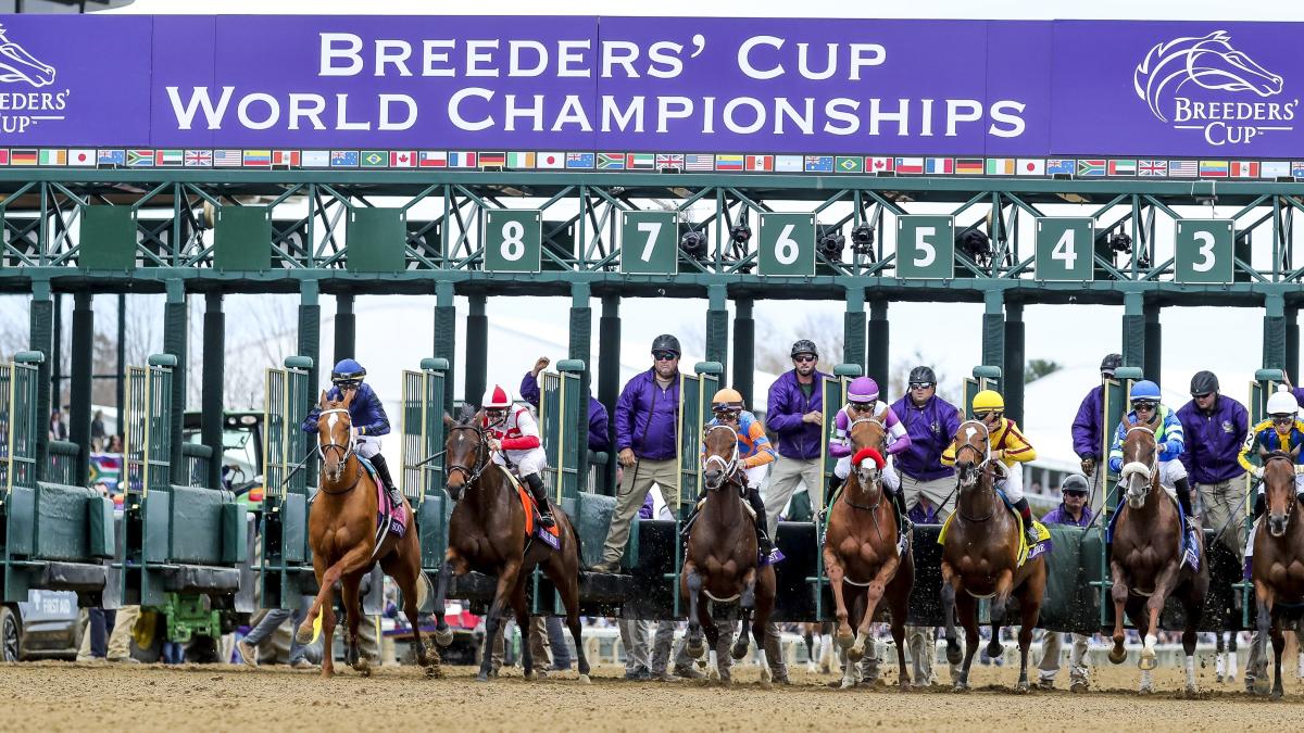 Sensational Saudi Cup: Forever Young Edges Romantic Warrior