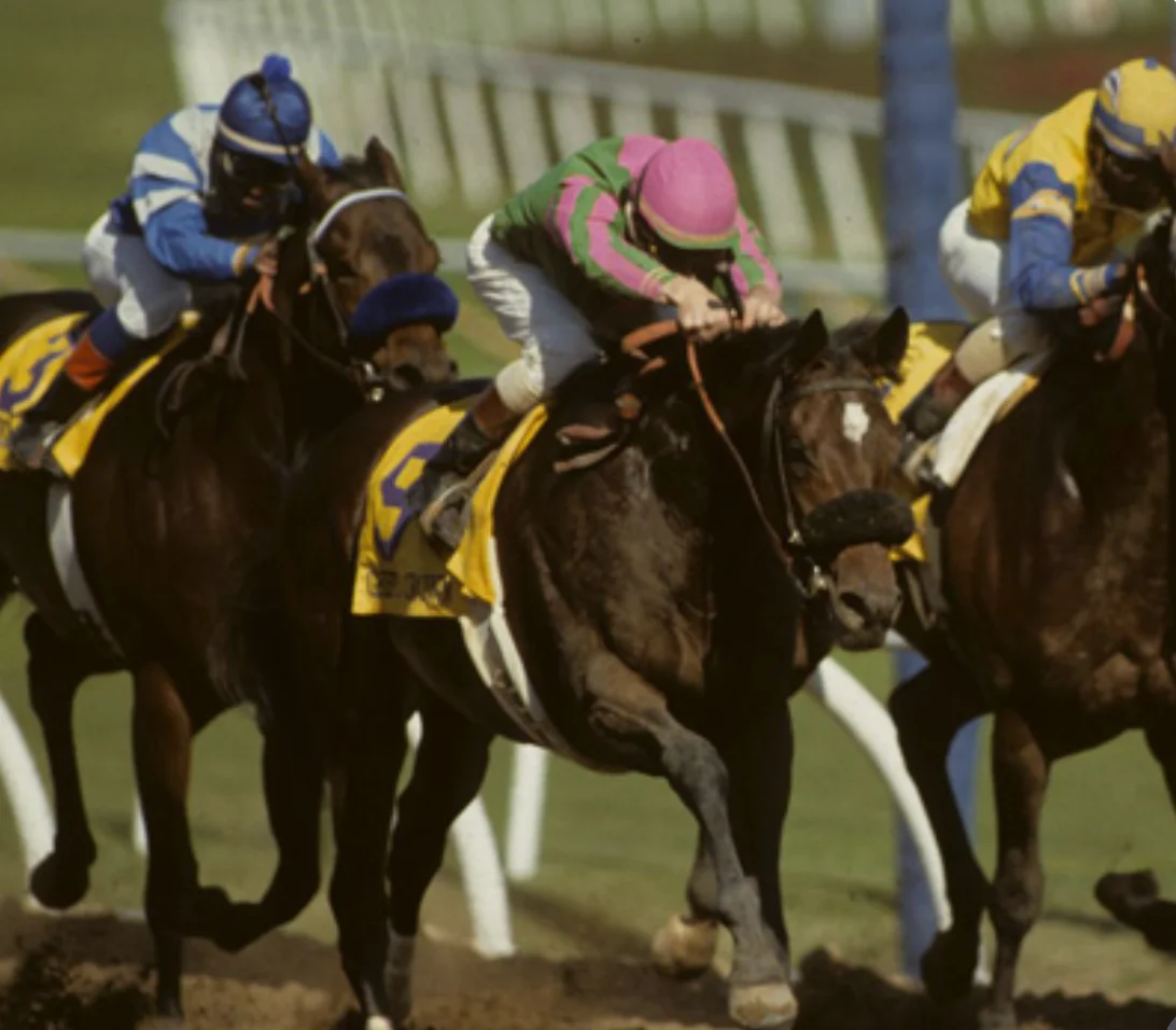 Sensational Saudi Cup: Forever Young Edges Romantic Warrior