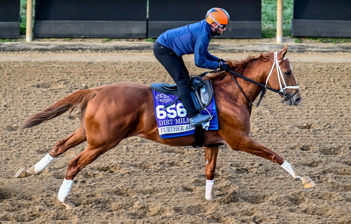 Sensational Saudi Cup: Forever Young Edges Romantic Warrior