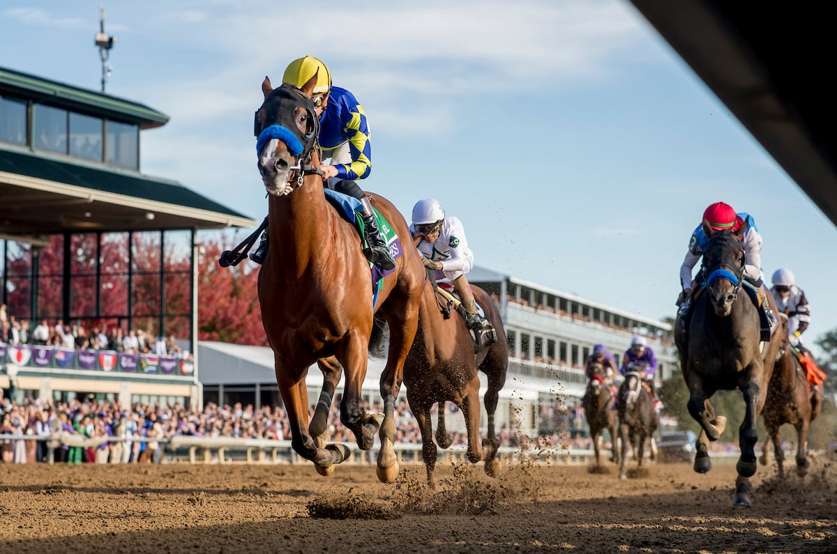 Sensational Saudi Cup: Forever Young Edges Romantic Warrior