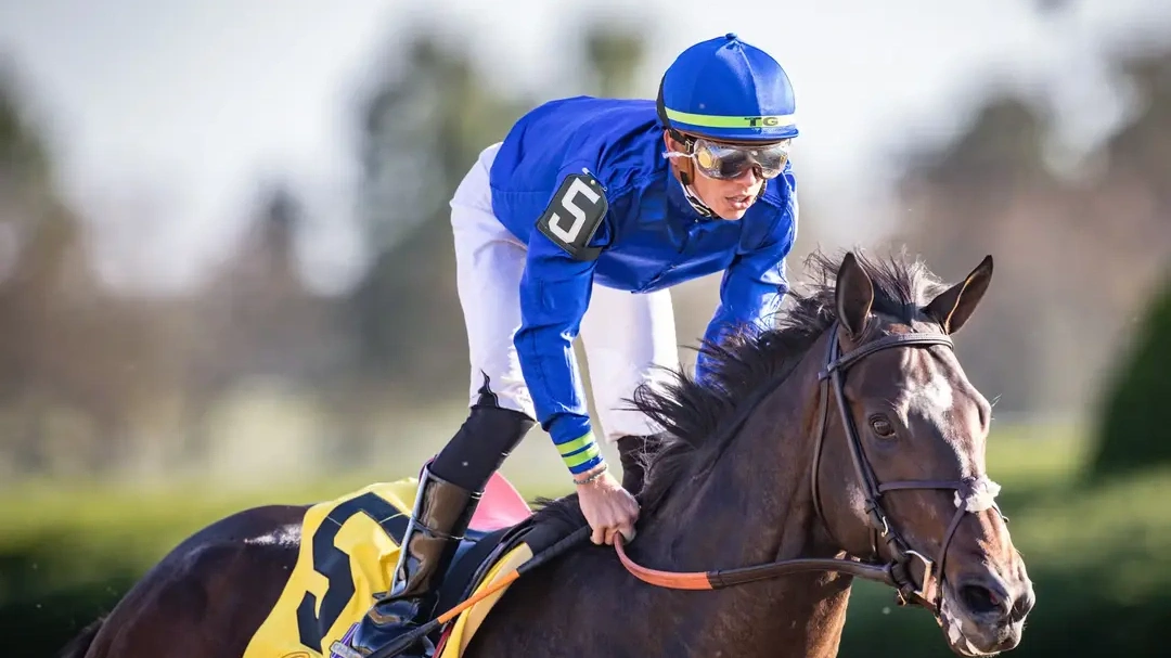 Sensational Saudi Cup: Forever Young Edges Romantic Warrior