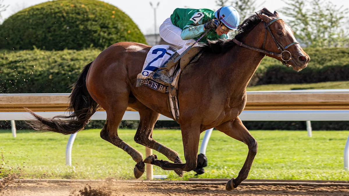 Sensational Saudi Cup: Forever Young Edges Romantic Warrior