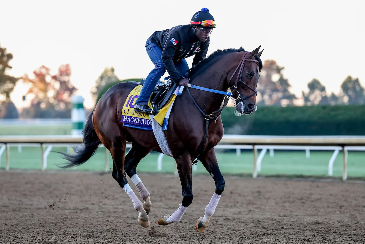 Sensational Saudi Cup: Forever Young Edges Romantic Warrior