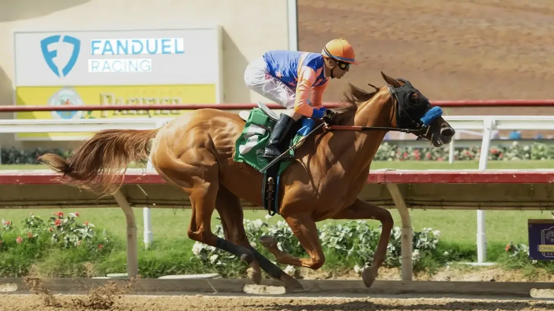 Sensational Saudi Cup: Forever Young Edges Romantic Warrior