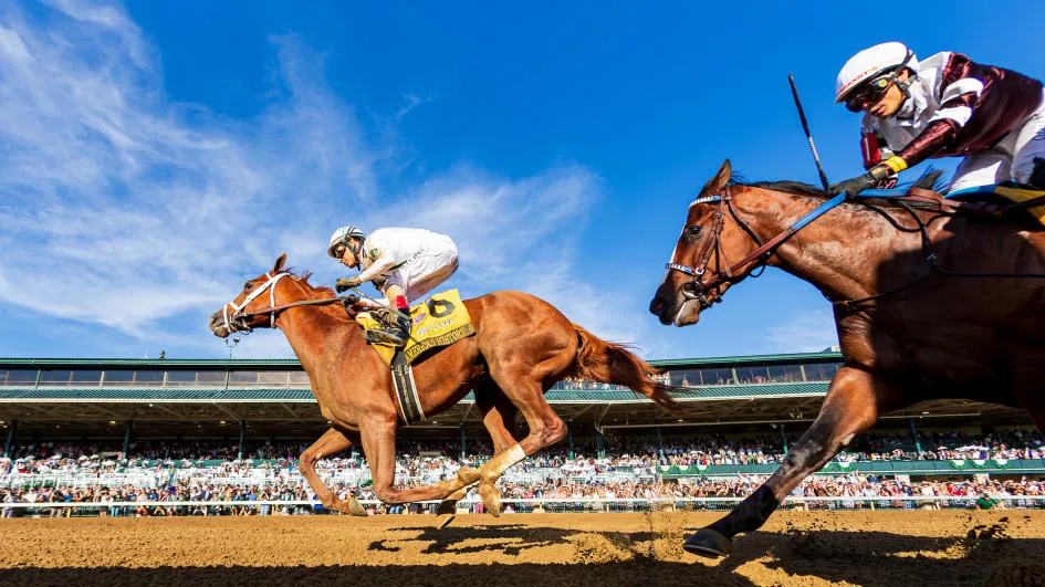 Sensational Saudi Cup: Forever Young Edges Romantic Warrior
