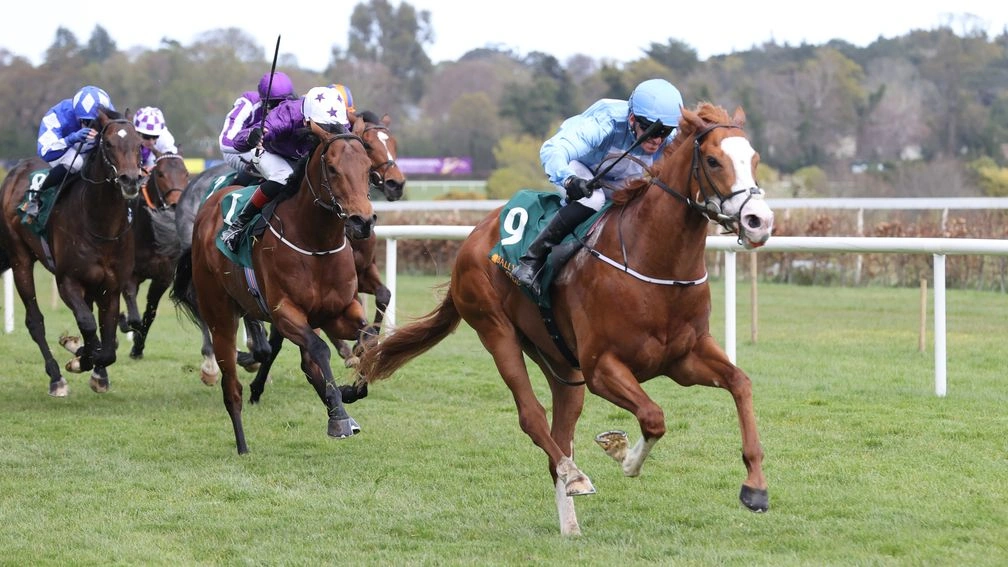 Sensational Saudi Cup: Forever Young Edges Romantic Warrior