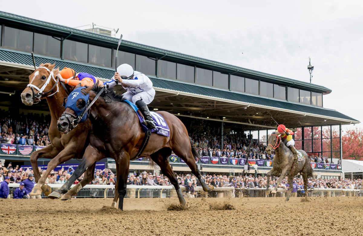 Sensational Saudi Cup: Forever Young Edges Romantic Warrior